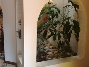 4 Bed House in Butterworth