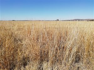 356 ha Farm in Welverdiend