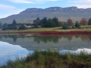 23.6 ha Farm in Kamberg