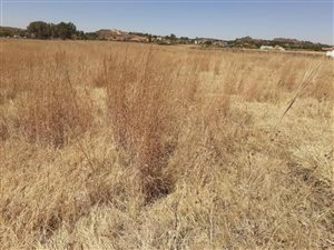 2.5 ha Farm in Walkerville