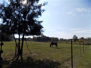 1 ha Land available in Mnandi AH