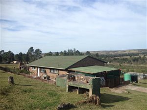 21 ha Farm in Seaview