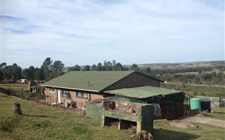 21 ha Farm in Seaview
