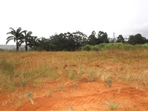 1 m² Land available in Izotsha