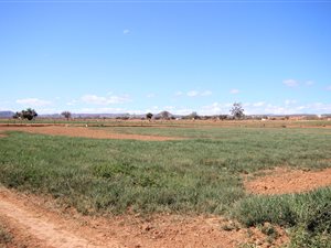 8.2 ha Land available in Oudtshoorn