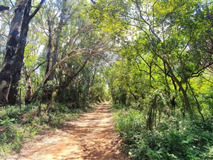 10 ha Farm in Mooinooi