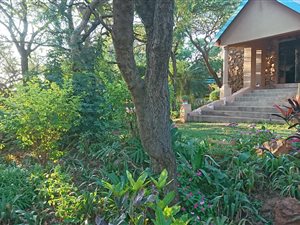 21.4 ha Farm in Mokopane