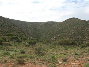 1380 ha Farm in Steytlerville