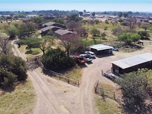 3 Bed House in Bridle Park