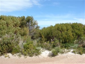 622 m² Land available in Bettys Bay