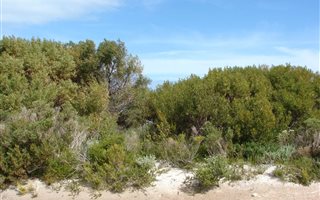 622 m² Land available in Bettys Bay