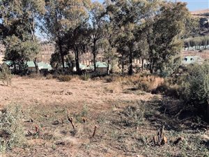 700 m² Land available in Clarens