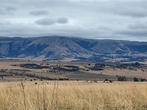 1360 ha Farm in Badplaas
