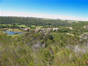 869 m² Land available in Schoongezicht