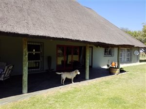25 ha Farm in Tijger Valley and surrounds