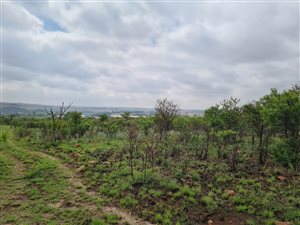 11 ha Farm in Boschkop