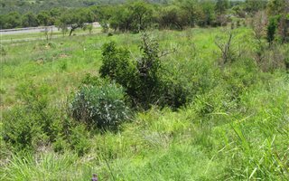4 ha Land available in Donkerhoek
