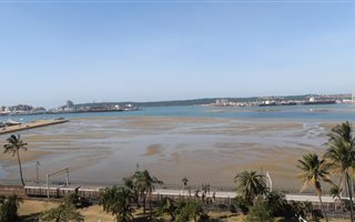 2.5 Bedroom Apartment in Esplanade