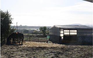 7 ha Farm in Joostenberg Vlakte