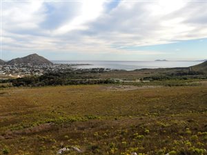 74 ha Land available in Pringle Bay