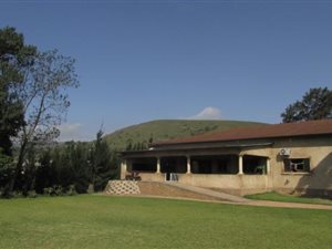 11.5 ha Farm in Camperdown