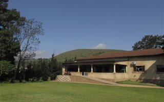 11.5 ha Farm in Camperdown