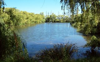 20 ha Farm in Elgin