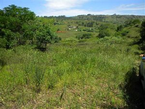 6.6 ha Land available in Cliffdale