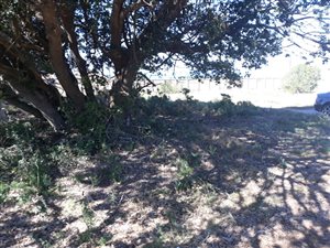800 m² Land available in Great Brak River