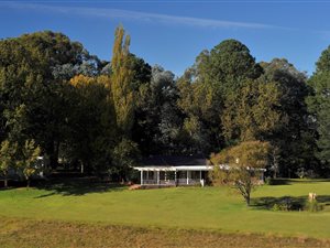 78.7 ha Farm in Underberg
