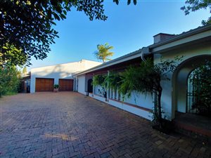 9 Bed House in Muckleneuk