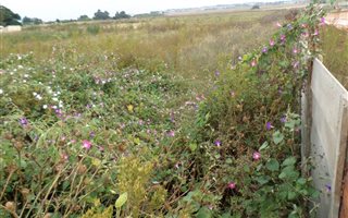 8.3 ha Land available in Brentwood