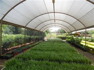 1.7 ha Farm in Sterkfontein and surrounds
