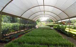 1.7 ha Farm in Sterkfontein and surrounds