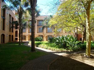 Studio Apartment in Hillcrest