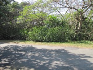 1441 m² Land available in Ifafa Beach
