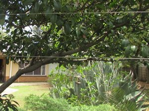 280 m² Commercial space in Universitas