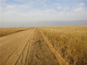 8.5 ha Land available in Utrecht