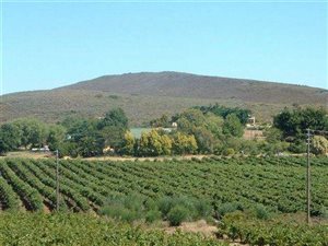 1348 ha Farm in McGregor