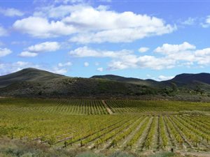 1348 ha Farm in McGregor