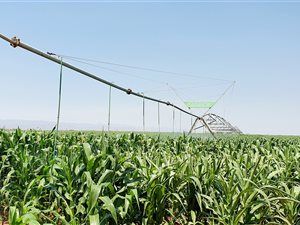 667 ha Farm in Musina