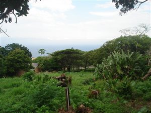 1324 m² Land available in Woodgrange