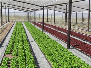 24.7 ha Farm in Cato Ridge