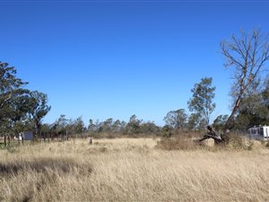 614 m² Land available in King Williams Town