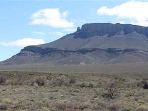 2695 ha Farm in Calvinia
