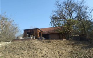 87 ha Farm in Tzaneen