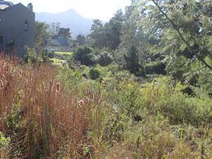 957 m² Land available in Heather Park