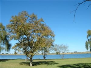 7 Bed House in Lochvaal