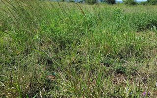 1118 m² Land available in Elti Villas