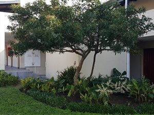 2 Bed Apartment in Heiderand